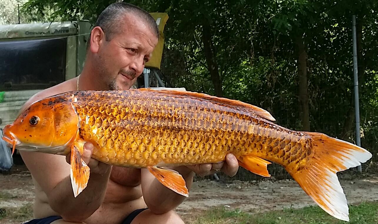 Lago Boschetto 8 - 9 iulie 2017 - 20170708161655-1.jpg